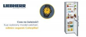 Promocja lod&oacute;wek LIEBHERR