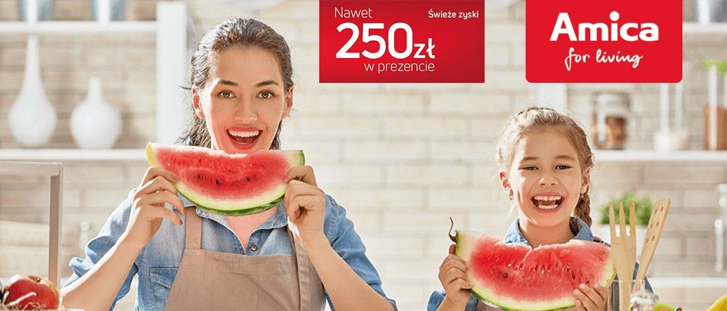 Promocja AMICA w Media Expert - kup promocyjną lod&oacute;wkę i odbierz nawet 250 zł na karcie podarunkowej!