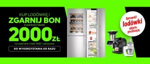Promocja na lod&oacute;wki w NEONET