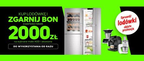 Promocja na lod&oacute;wki w NEONET
