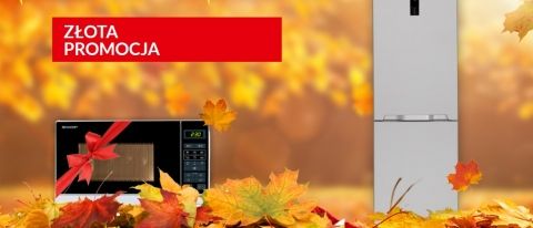 Promocja lod&oacute;wek SHARP