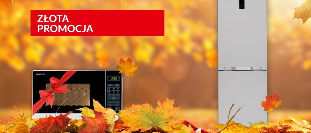 Promocja na lod&oacute;wki SHARP - odbierz kuchenkę mikrofalową gratis!