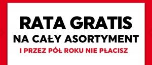 Promocja ratalna NEONET