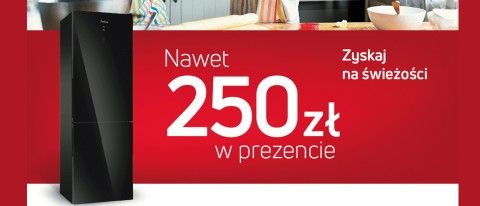 Promocja AMICA w RTV EURO AGD