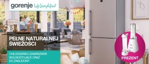 Promocja na lod&oacute;wki GORENJE