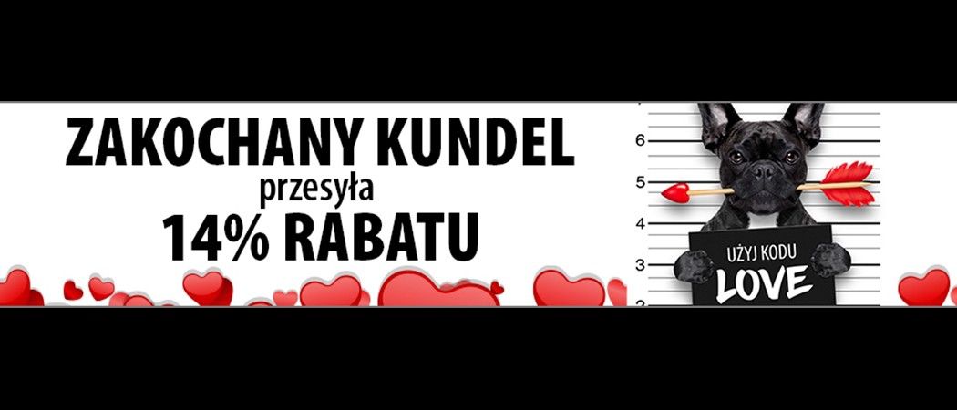 Kup wybrane sprzęty AGD z rabatem do 14% w promocji Sferis!