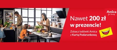 Promocja AMICA w RTV EURO AGD