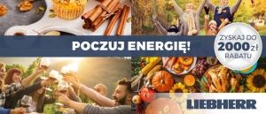 Promocja lod&oacute;wek LIEBHERR