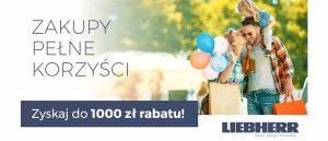 Promocja na lod&oacute;wki w Media Expert