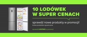 Promocja na lod&oacute;wki w NEONET
